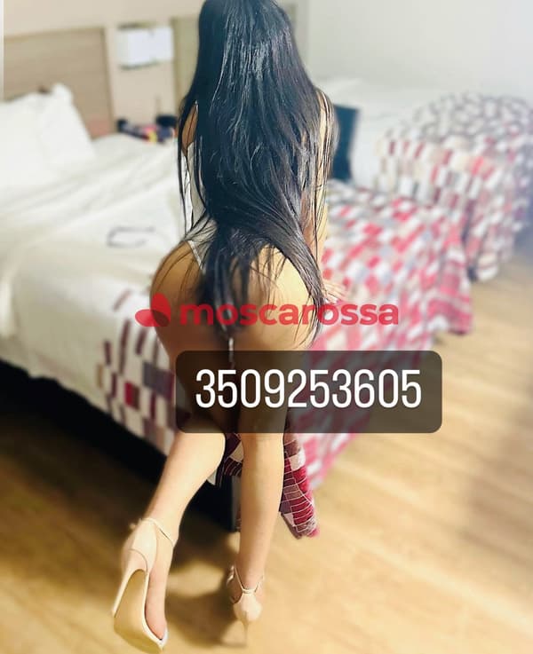 3509253605