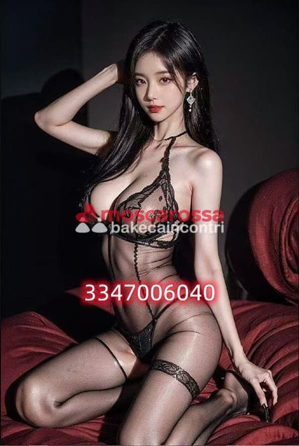 3347006040
