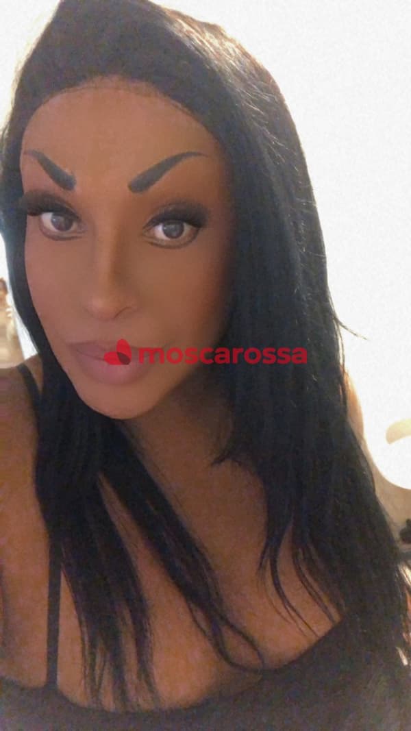 3206461767