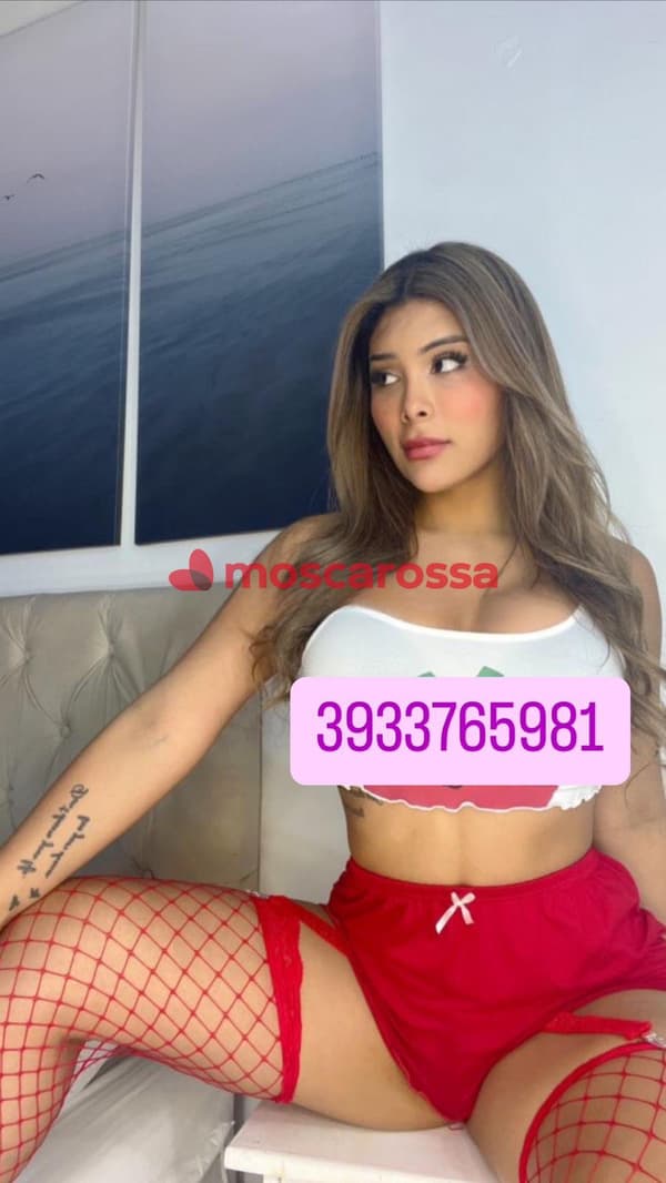 3933765981