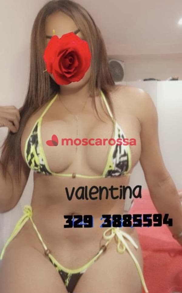 3293885594