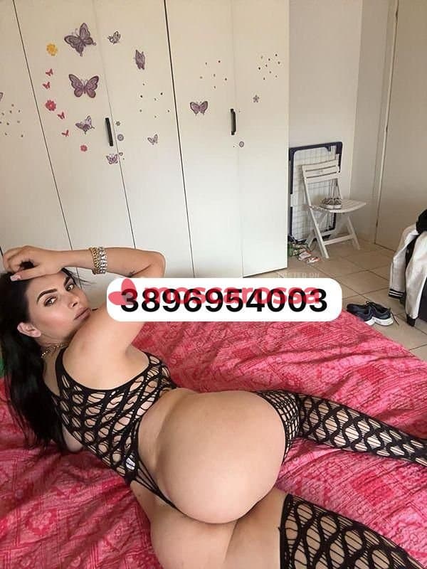 3896954003