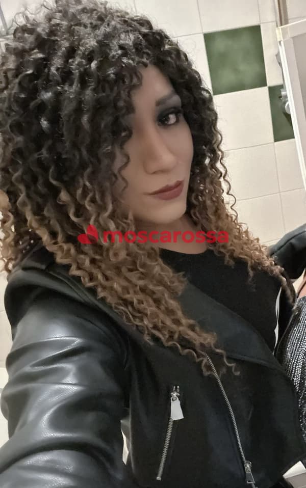3716666544