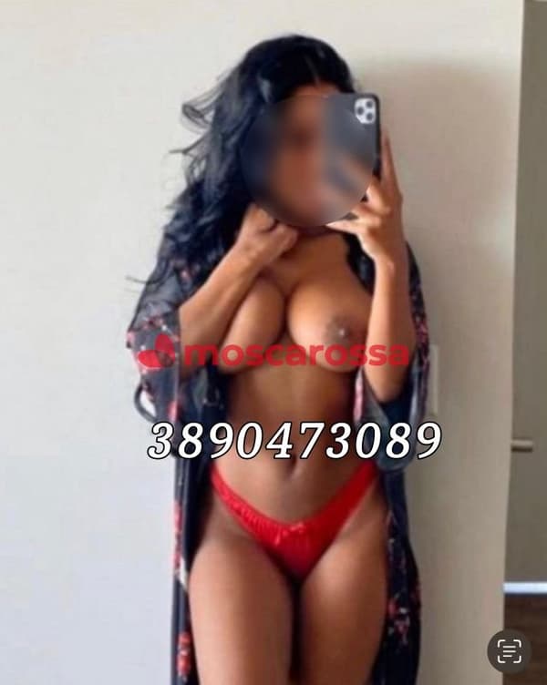 3890473089