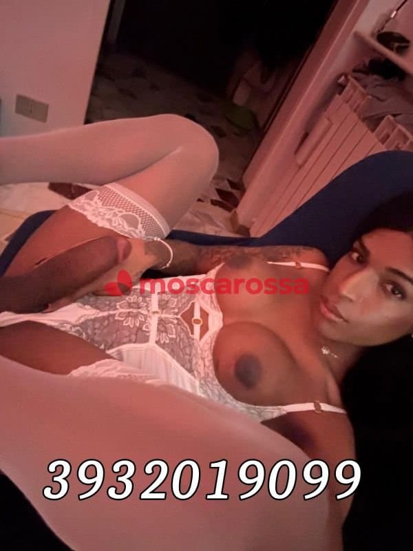 3932019099