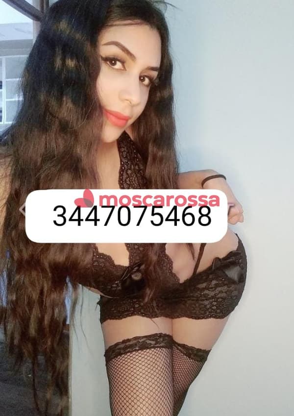 3447075468
