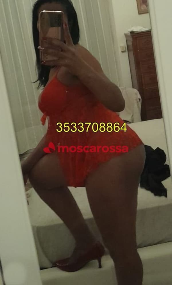 3533708864