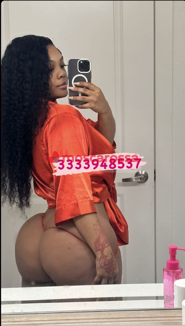3333948537