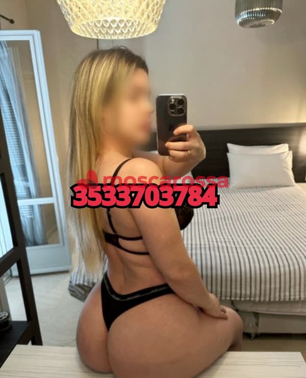 3533703784