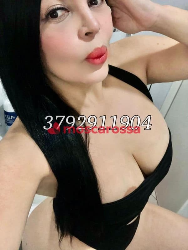 3792911904
