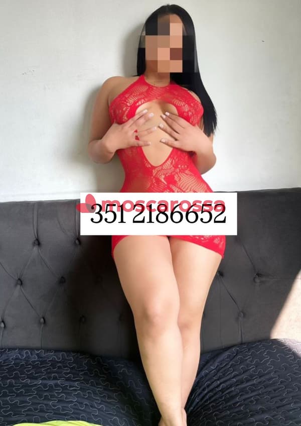 3512186652