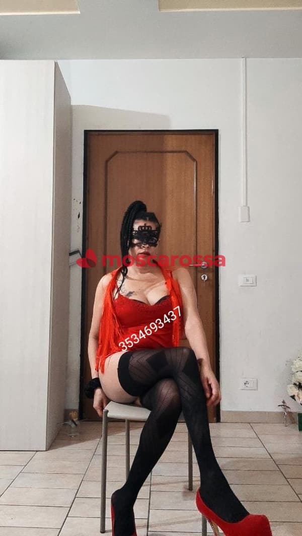 3802825165