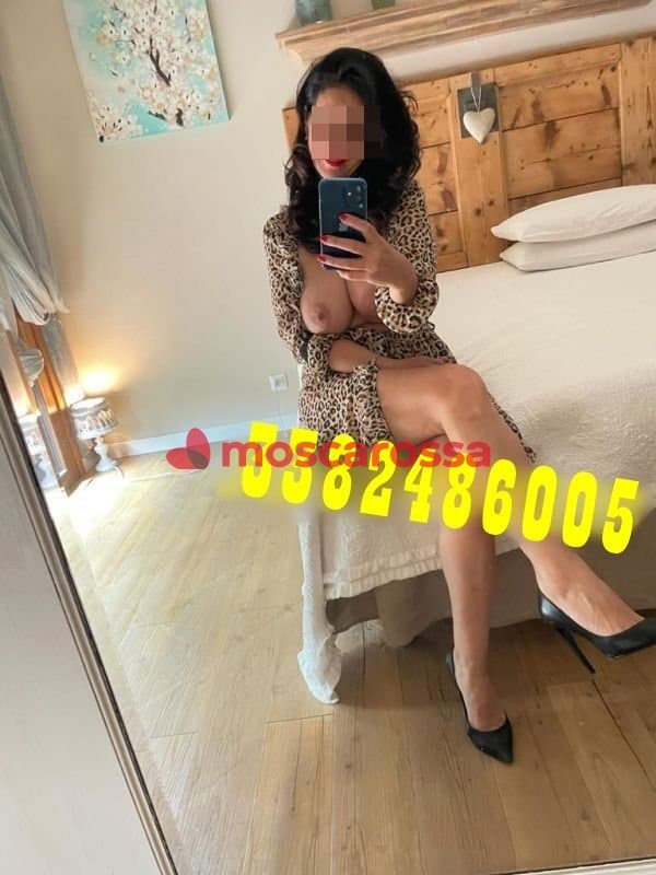 3382486005