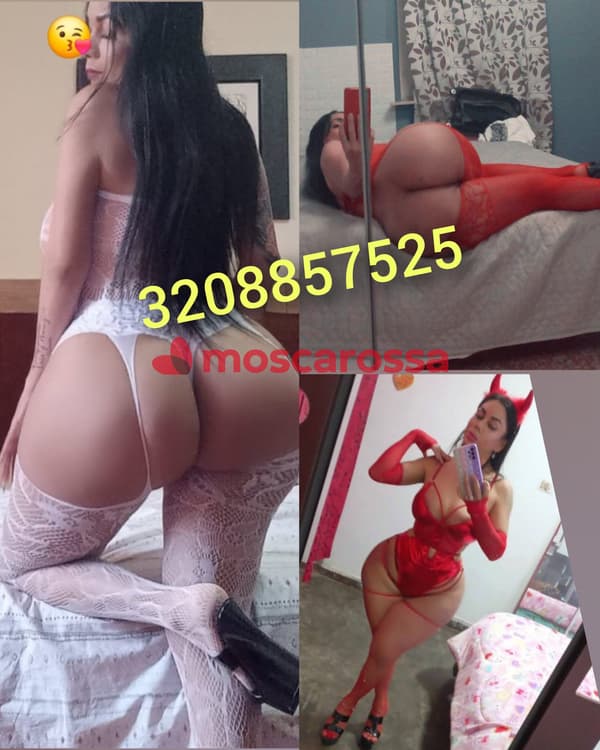 3295567921