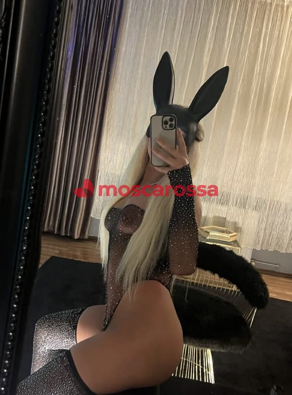 3334887154