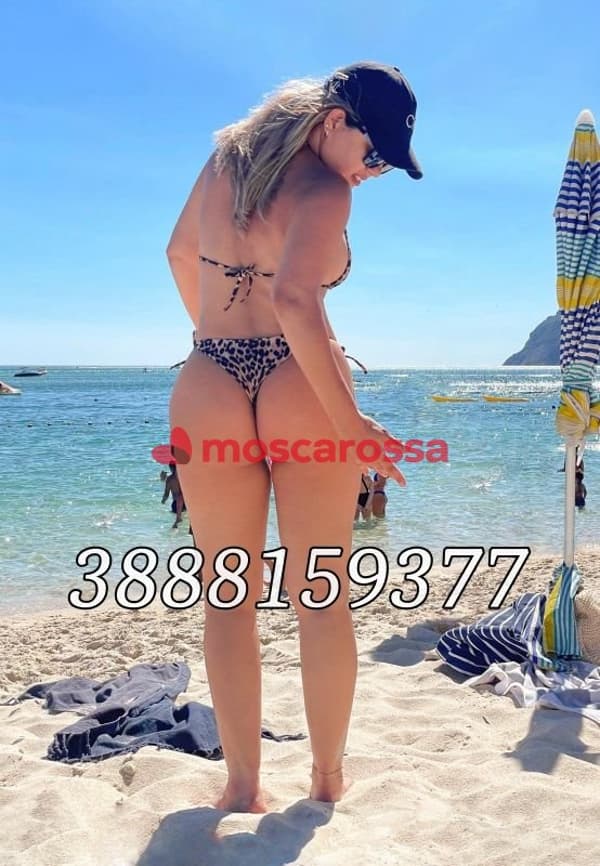 3888159377