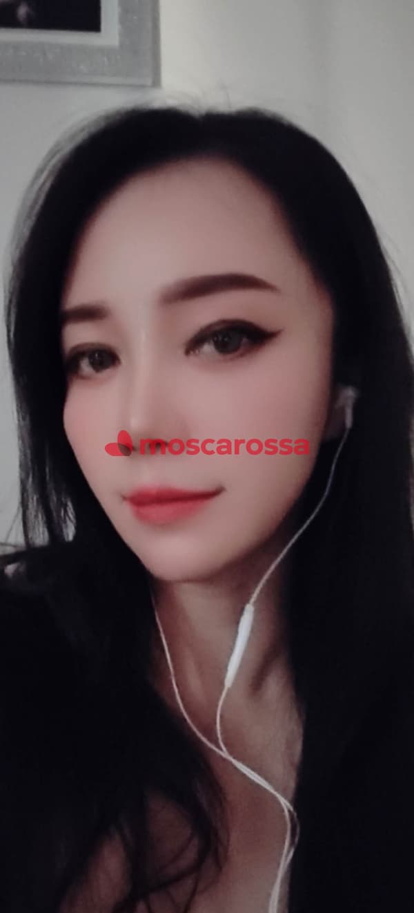 3805808120