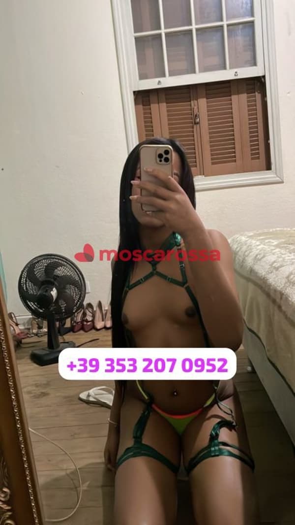 3532070952