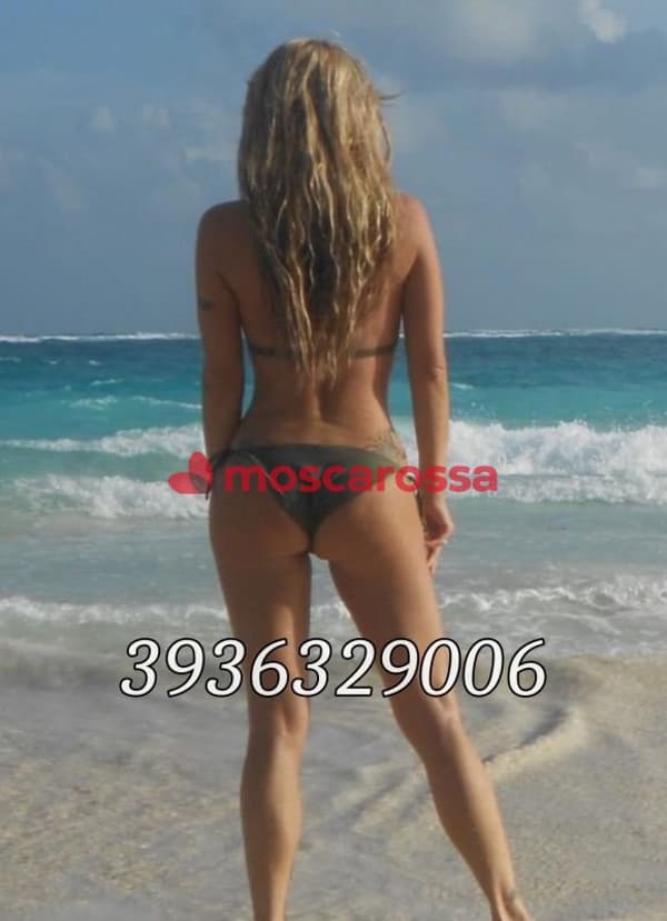 3936329006