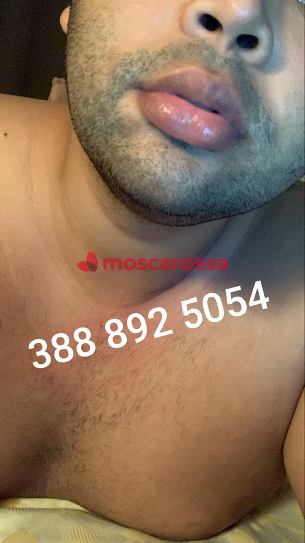 3888925054