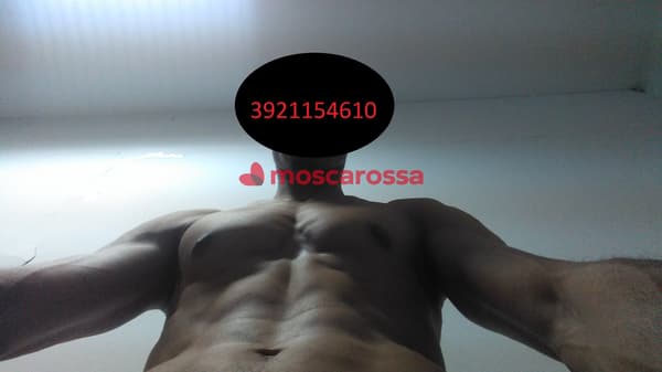 foto 3921154610