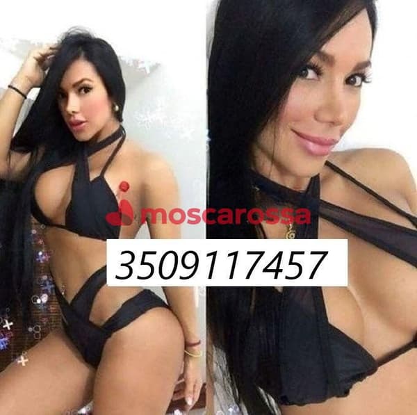 3509117457