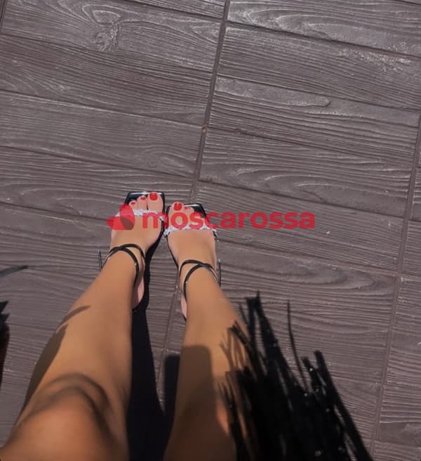 3500728781