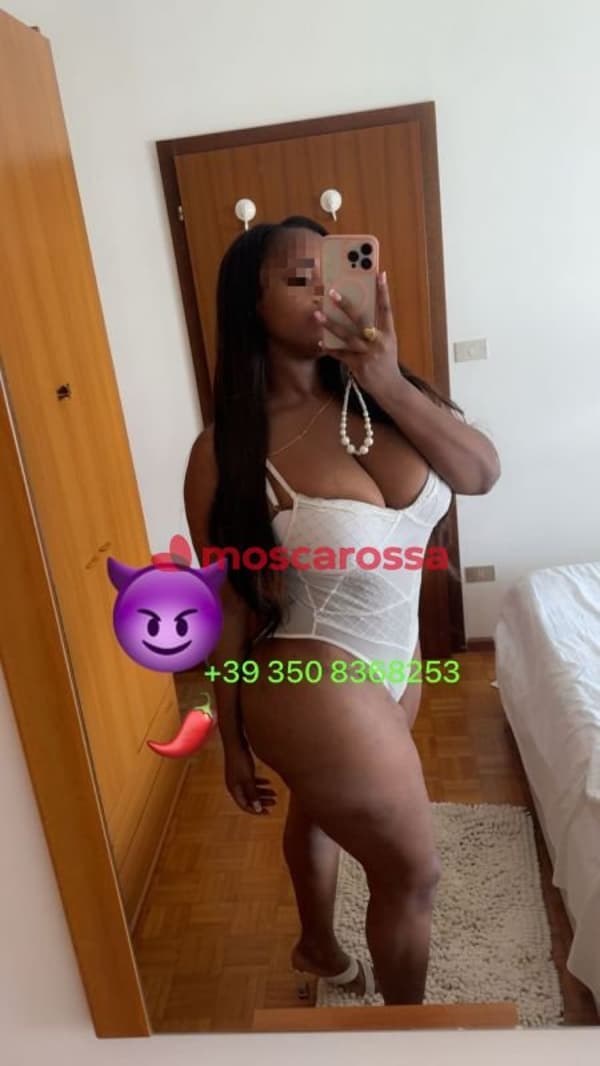 3508368253