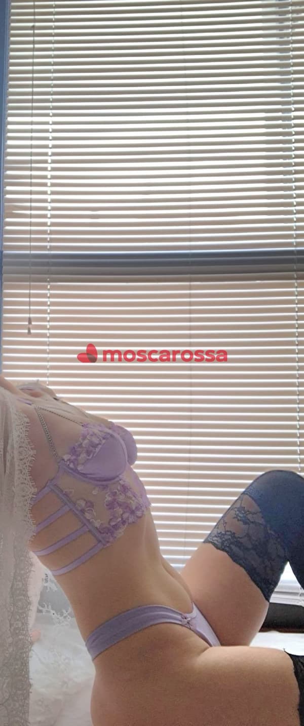 foto 3518760359