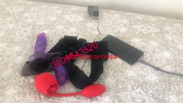 3209643520
