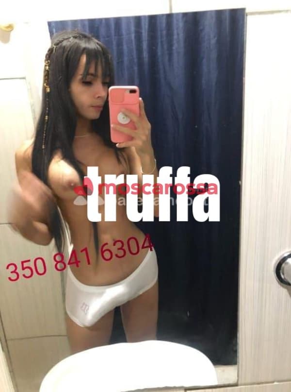 foto 3512194621