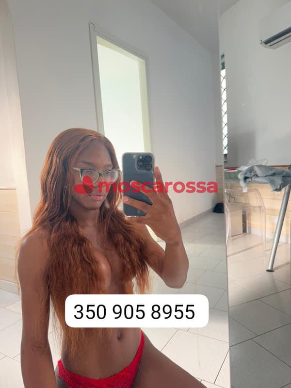 3509058955