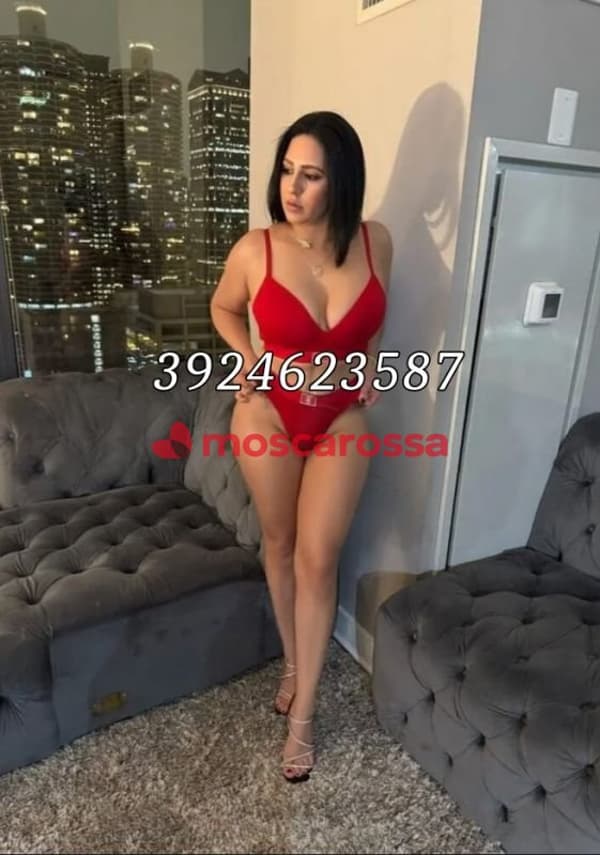 3924623587