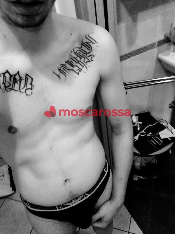 foto 3517417828