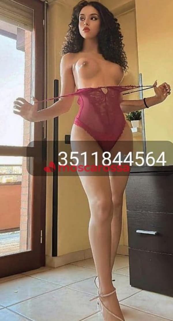 3511844564