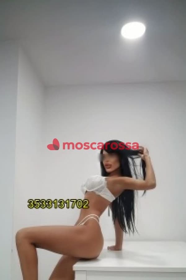 3533131702