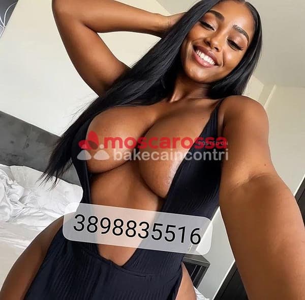3898835516