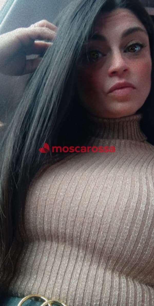 3532065216