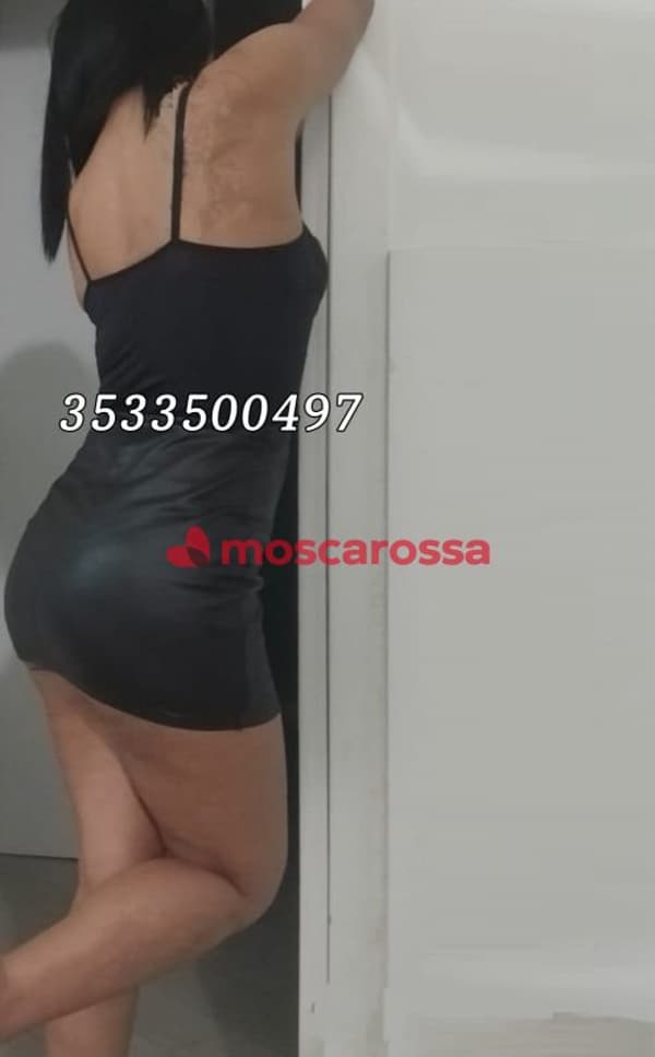 3533500497