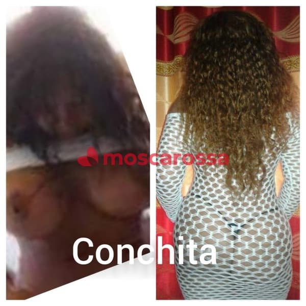 foto 3532106324