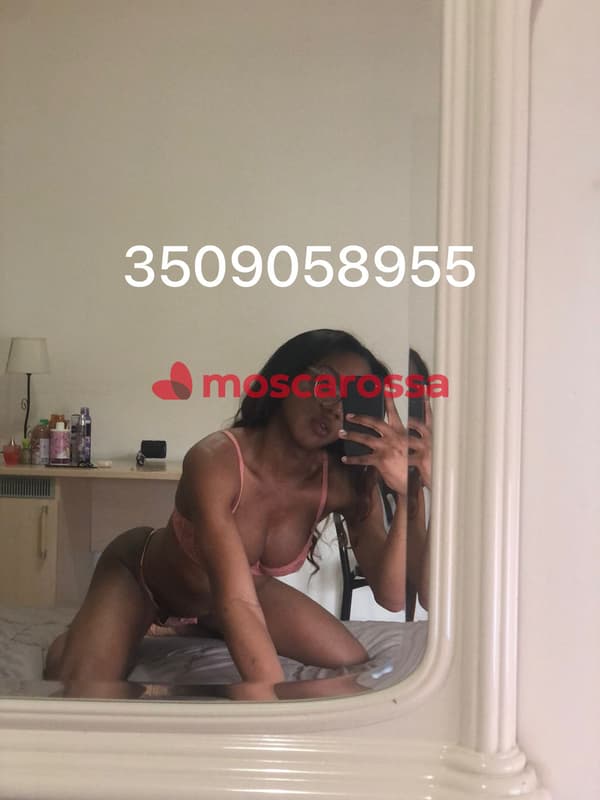 3509058955