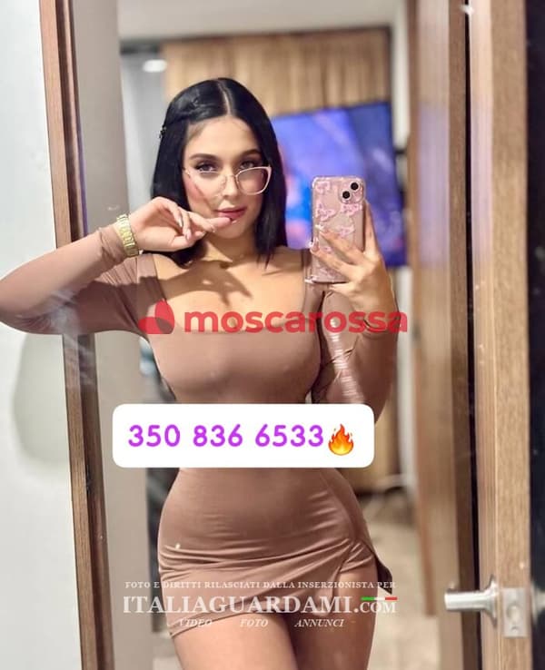 3508366533