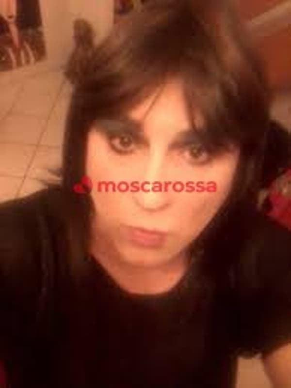 foto 3509726051