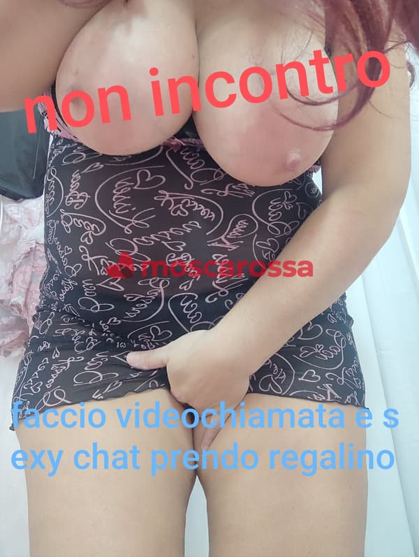 foto 3513577019
