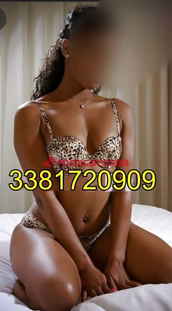 3381720909