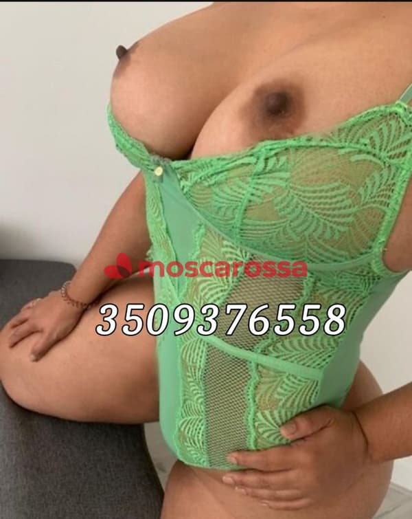 3509376558
