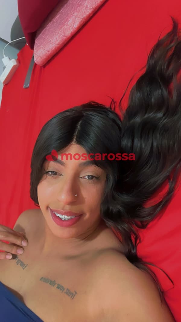 foto 3508362345