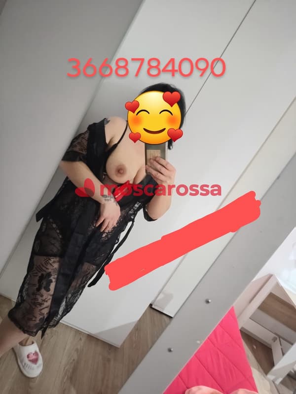 3668784090
