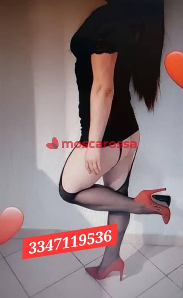 3314618933