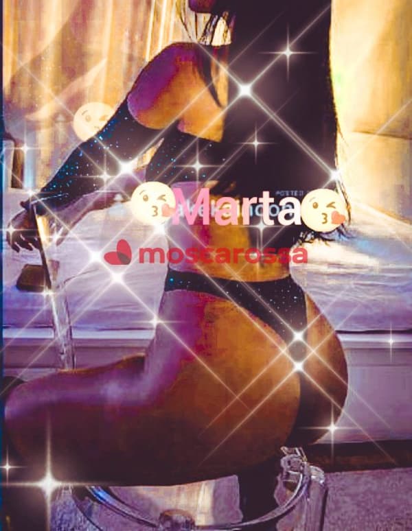 3804777334